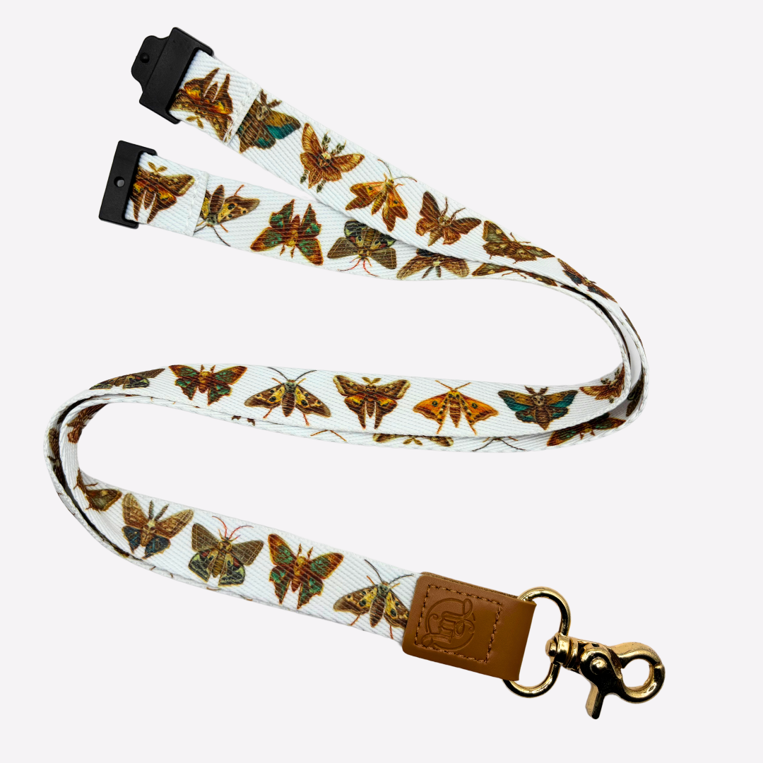 Brown Moth