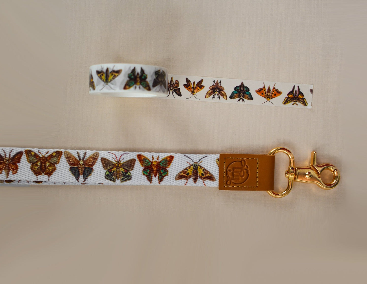 Brown Moth