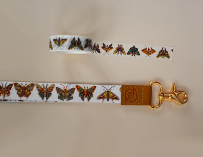 Brown Moth Washi Tape